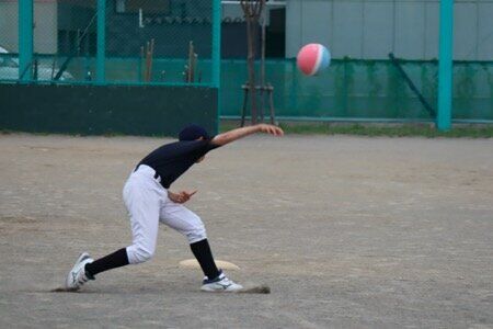 IMG_2951.JPG