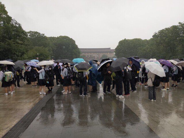 OPN_20250603_145053.jpg