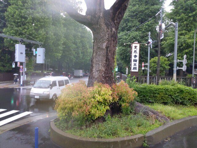 OPN_20250603_170844.jpg
