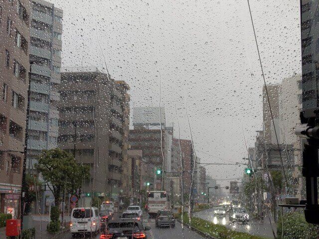 OPN_20250603_172519.jpg