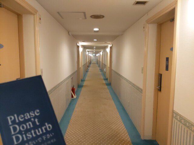 OPN_20250603_231604.jpg