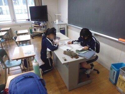P1300028.JPG